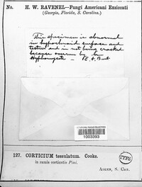 Image Associated With the Occurence